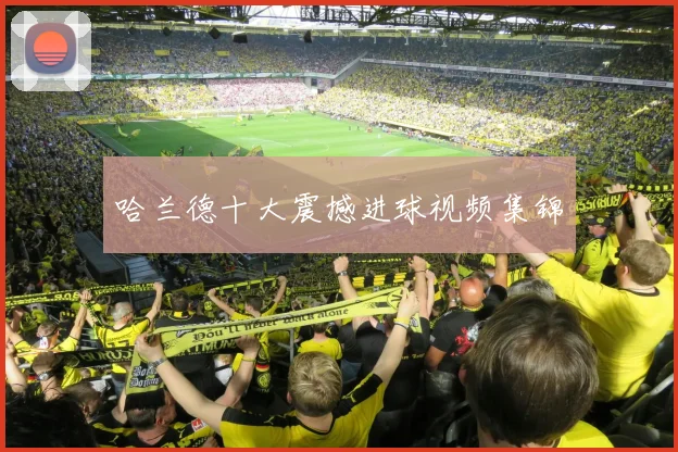 哈兰德十大震撼进球视频集锦
