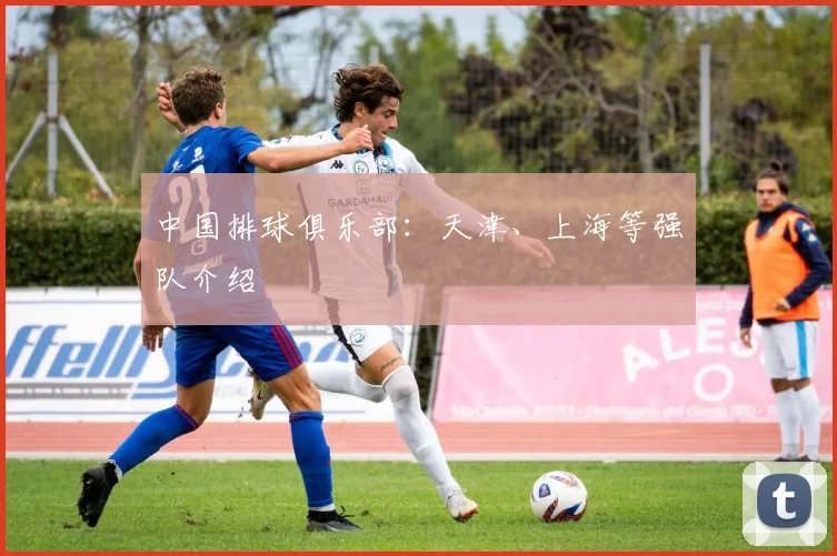 中国排球俱乐部:天津、上海等强队介绍