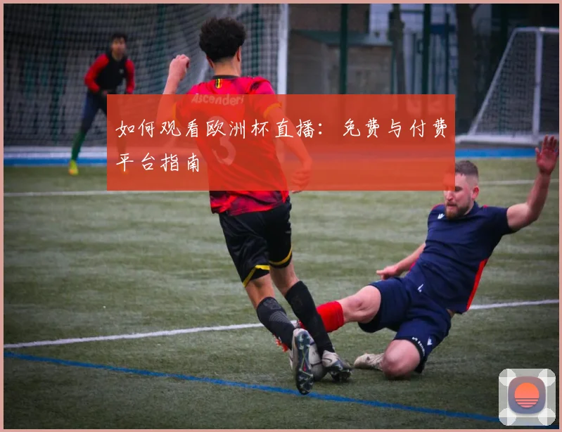 如何观看欧洲杯直播：免费与付费平台指南