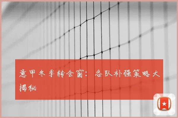 意甲冬季转会窗:各队补强策略大揭秘