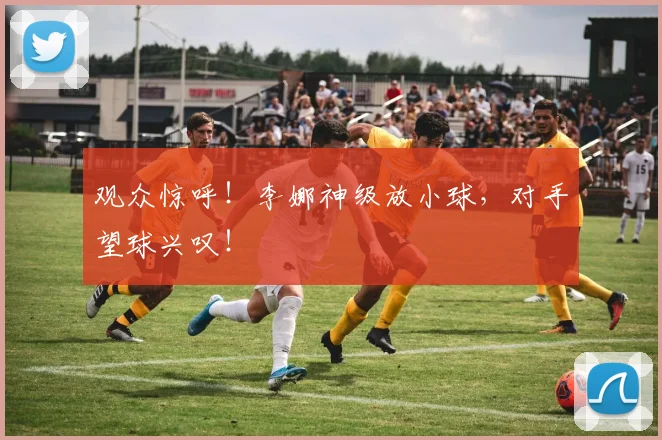 观众惊呼!李娜神级放小球,对手望球兴叹!