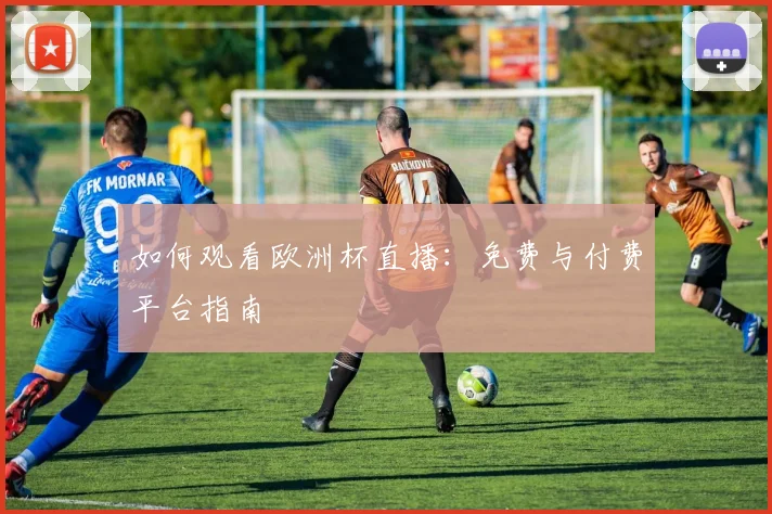 如何观看欧洲杯直播:免费与付费平台指南